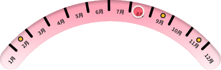 年度纪念轨道